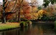 деревья, река, природа, листья, парк, осень, сад, пруд, растение
