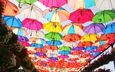 цветы, парк, разноцветные, город, зонтик, зонты, дубай, зонтики