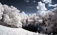 небо, облака, деревья, вода, снег, природа, зима