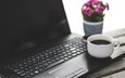 цветок, кофе, клавиатура, чашка, ноутбук