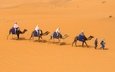 песок, люди, пустыня, бархан, караван, верблюды