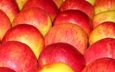 фрукты, яблоки, плоды