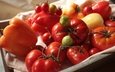 овощи, помидоры, перец, томаты, болгарский, сладкий перец