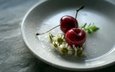 цветы, ромашка, черешня, блюдце, ягоды, вишня, julie jablonski