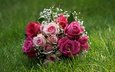 цветы, трава, розы, букет, свадебный букет, гипсофила