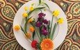 цветы, узор, нарциссы, тарелка, ноготки, композиция, турецкий огурец
