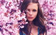 цветение, девушка, взгляд, весна, волосы, лицо, розовые цветы, голубоглазая
