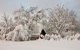 деревья, снег, природа, зима, деревня, домик