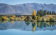 деревья, озеро, горы, природа, отражение, осень, новая зеландия, daniela a. nievergelt