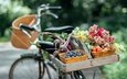цветы, лето, фрукты, овощи, велосипед, боке