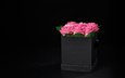 цветы, розы, черный фон, розовые, подарок, коробка