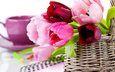 цветы, карандаши, корзина, тюльпаны, чашка, тетрадь, блокнот