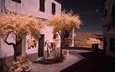 деревья, улица, дом, италия, тоскана, остров эльба, инфракрасный снимок, ливорно, каполивери