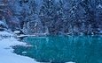 озеро, лес, зима, швейцария, bernese oberland, kander valley, долина реки кандер, кандерская долина