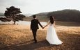 природа, дерево, костюм, жених, свадьба, белое платье, невеста