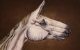 рисунок, лошадь, рука, креативный