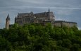 himmel, wolken, bäume, burg, luxemburg, vianden, vianden castle
