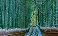 природа, лес, зима, бамбук, бамбуковый, bing