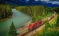 деревья, река, горы, железная дорога, лес, лето, поезд, канада, альберта, банф, национальный парк банф