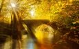 свет, деревья, река, солнце, лес, лучи, парк, мост, осень