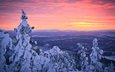 небо, деревья, снег, лес, закат, зима, финляндия, лапландия