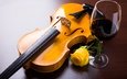 цветок, скрипка, роза, струны, бокал, вино, музыкальный инструмент