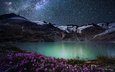 цветы, ночь, озеро, горы, природа, звезды, simone cmoon