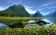 небо, облака, деревья, вода, горы, природа, камни, лес, пейзаж, мох, ствол, новая зеландия, национальный парк, фьорд