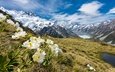 небо, цветы, облака, горы, снег, вершины, ледник, национальный парк, лютики, маунт-кук, новой зеландия, mueller glacier