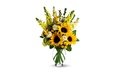 цветы, розы, букет, подсолнухи, белый фон, ваза, желтые, львиный зев
