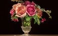 цветы, бутоны, розы, лепестки, лепесток, черный фон, вазочка