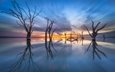 деревья, озеро, отражение, австралия, южная австралия, lake bonney