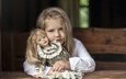 портрет, взгляд, дети, девочка, кукла, волосы, лицо, ребенок