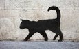 текстура, стена, граффити, поверхность, кирпичная, черный кот