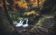река, природа, лес, лестница, ступеньки, водопад, осень