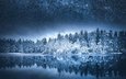 ночь, озеро, природа, лес, зима, отражение, пейзаж, звезды, млечный путь, финляндия