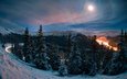 дорога, ночь, природа, лес, зима, колорадо, mike berenson