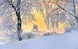 деревья, снег, природа, храм, зима, пейзаж, ветки, иней, россия, санкт-петербург