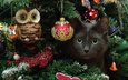 сова, новый год, елка, кот, мордочка, усы, кошка, взгляд, dmitriy ganich