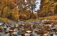 деревья, лес, мост, осень, речка, канада, wilket creek park