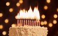 свечи, блики, сладкое, день рождения, торт, десерт, с днем ​​рождения, торт со свечками
