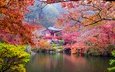 деревья, камни, листья, лестница, парк, ветки, кусты, мост, осень, пагода, япония, киото, пруд, sean pavone