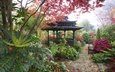 деревья, листья, туман, кусты, осень, сад, англия, скамейка, беседка, walsall garden