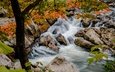 деревья, река, камни, ветки, пороги, осень, кент, коннектикут, река хусатоник