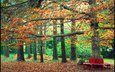 деревья, листья, парк, осень, скамейка