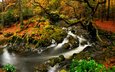 река, природа, лес, осень
