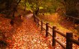 природа, листья, парк, дорожка, осень, забор, листопад, осенние листья