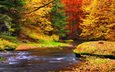 деревья, река, природа, лес, листья, осень