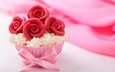 сладкое, десерт, пирожное, кекс, маффин, крем, desert-keksy-pirozhnoe-3473