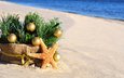 новый год, елка, шары, песок, пляж, корзина, рождество, елочные украшения, морская звезда, мешковина